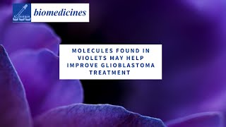 Molecule Found in Violets May Help Improve Glioblastoma Treatment [upl. by Moselle]