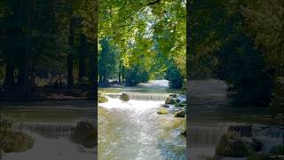 Mini Falls Major Zen Englischer Garten’s Tiny Wonder germany munich shorts [upl. by Olwena]