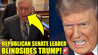 Mitch McConnell RUINS Trump’s CAMPAIGN With BRUTAL Bombshell [upl. by Vasilis]