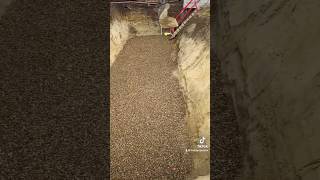 FreddyOperator  Leveling of an attenuation tank base with shingle [upl. by Silver]