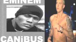 EMiNEM RAPPiNG LiKE CANiBUS [upl. by Rialcnis]