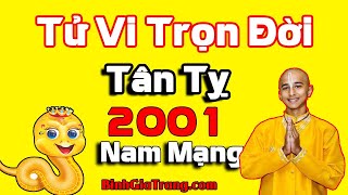 Tử vi trọn đời 2001 nam mạng Cuộc đời đầy sóng gió  Xem tử vi trọn đời tuổi Tân Tỵ [upl. by Hildy41]