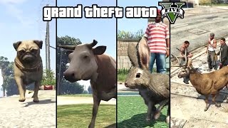 GTA 5  Play as an Animal Dog Cat Cow Boar Rabbit Deer amp more PS4 amp Xbox One [upl. by Eiddam]