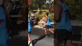 Rocky Raccoon makes an appearance during Toronto Waterfront Marathon the6ix running raccoon [upl. by Staci]