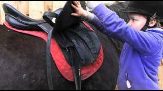 Crafty Ponies How to lead groom amp tack up wwwcraftyponiescouk [upl. by Nivalc443]