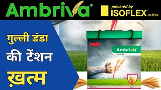 👉FMC Launches Ambriva😍इसके आगे सब फेल 👊 [upl. by Dambro]