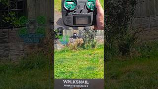 The Future of FPV Caddx Walksnail and Radiomaster [upl. by Enitnatsnoc]