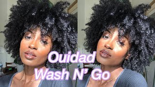 Ouidad Curl Immersion Curly Hair Routine amp Review Wash n go 3c 4a [upl. by Yur]