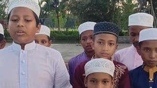 মরলে শহীদ বাচঁলে গাজী। বিপ্লবী গজল। Gojol Islamic Song Students Sylhet Bangladesh Man For Man [upl. by Hagar467]