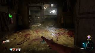 Call of Duty Black Ops 6 Liberty Falls Zombies maps [upl. by Omidyar]