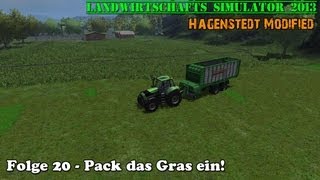 LS 2013 Hagenstedt Modified 20  Pack das Gras ein ★ Lets Play ★ [upl. by Esilana839]