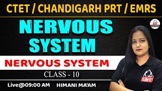 SCIENCE  NERVOUS SYSTEM  For CTETCHANDIGARH PRT EMRS  By Himani Mam KDLiveTeaching [upl. by Nahtannhoj]