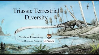 Lecture 16 Triassic terrestrial diversity Feb 29 [upl. by Vudimir]