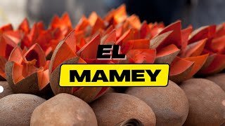 que propiedades tiene el mamey  mamei fruta o fruta de mamey [upl. by Aihsia]