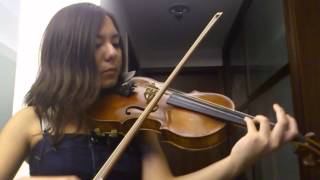 Delia Chan  Binks No Sake accompagnement  One Piece Violin Cover [upl. by Chard]