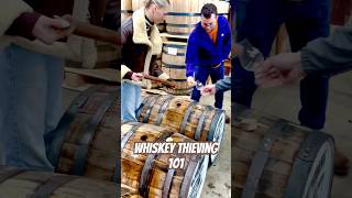 whiskey thieves thieving 101 whiskeybarrel whiskeythief bourbon stealing from bourbonbarrel [upl. by Whitney]