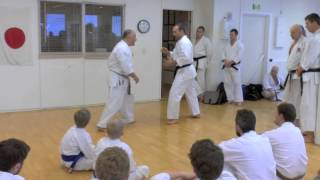 Norway Makotokai seminar 2013 [upl. by Irrehs]