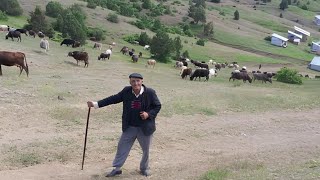 yüreklere işleyen türküler  dertli köy türküleri quot çok özel köy türküleri✔️ [upl. by Ojoj676]