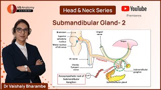 Submandibular Gland2 and Submandibular ganglion with Dr Vaishaly Bharambe [upl. by Artinad933]