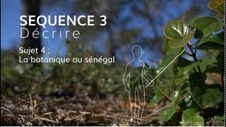 Séquence 3 sujet 4  La botanique au Sénégal [upl. by Sonafets970]