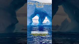 Why do icebergs float shortvideo shorts iceberg [upl. by Ecallaw]