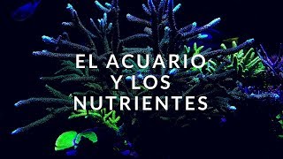 El Acuario y los Nutrientes [upl. by Lander]