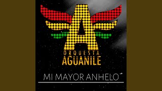 Mi Mayor Anhelo [upl. by Nosnor]