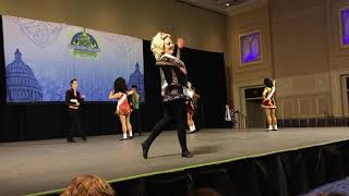 Southern Region Oireachtas 2019 Parade Of Champions [upl. by Krongold]