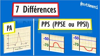 7 Différences entre le potentiel daction PA et le potentiel postsynaptique PPS [upl. by Nomead560]