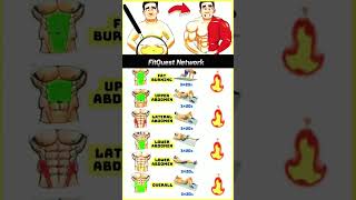 Get RIPPED ABS at Home FAST in Just Weeks fitness homeworkout absworkout [upl. by Gerianna]