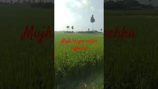 naha kakkar song newsong love song music lovesong shorts viral hindisong newvirulsong [upl. by Enyrat]