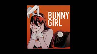 bunny girl  AKASAKI 1時間耐久 bunnygirl akasaki バニーガール 1時間耐久 [upl. by Tuesday485]