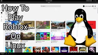 How to PLAY Roblox on Linux🔥 FPS BOOST GUARANTEED [upl. by Aiz]