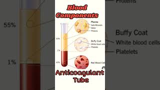 Blood Components रक्त में उपस्थित cellyoutubeshorts ytshorts shorts [upl. by Artemla161]