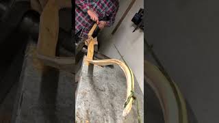 The Bowyers Workshop Recurve Bow [upl. by Iht249]