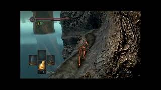 Dark Souls Speed Running  Nito [upl. by Nnylyaj]