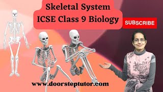 Skeletal System  Axial and Appendicular Skeleton  ICSE Class 9 Biology [upl. by Andaira121]