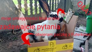 Otwieram paczkę z Futerkowe🐇moje umiejętności brukarskie czyli dokładanie kostki zadawajcie pytania [upl. by Milstone]