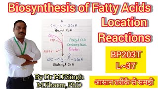 Biosynthesis of Fatty Acids  Location  Reactions  Biochemistry  BP203R  L37 [upl. by Pavyer]