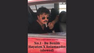 No1  Bu Benim Hayatım X Anlamazdın slowed [upl. by Dawes]