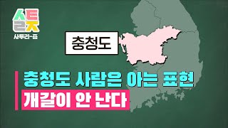 사투리즘  충청도 1부 유 느리다 충청도 사투리 개갈나게 알려드림 [upl. by Butterfield]