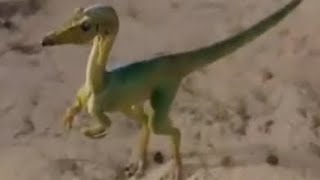 Jurassic park saga compsognathus screen time [upl. by Dey]