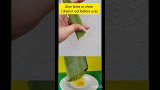 Fresh aloe vera gel benefits for skin😍✅️naturalbeautyskincareroutine [upl. by Annahpos]