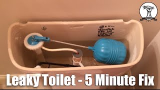 Easy and Quick Leaky Toilet or Hard to Flush  5 Minute Fix only 3 [upl. by Anisah]