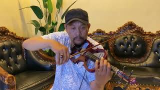 Malam Bulan Di Pagar Bintang  Violin Version  Cover By MJ Violin [upl. by Yenolem463]