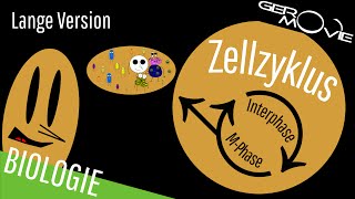 ► Zellzyklus und Zellteilung  verständlich erklärt  Lange Version [upl. by Aileno]