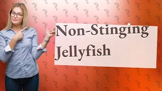 What type of jellyfish dont sting [upl. by Hpesoj]