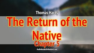 The Return of the Native Audiobook Chapter 5 [upl. by Ehctav960]