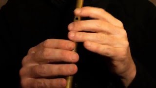 Palm Sunday Jig  Tin Whistle Tutorial [upl. by Uzzial39]