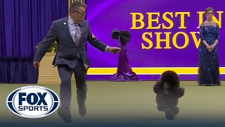 2024 Best In Show Full Event  Westminster Kennel Club [upl. by Courtund]